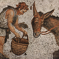 La métamorphose : approches littéraires et philosophiques dans l’Antiquité