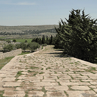 Introduction à l’histoire romaine. Mobilités dans le monde romain